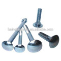 types of carriage bolts, flat head carriage bolt, mushroom head carriage bolt